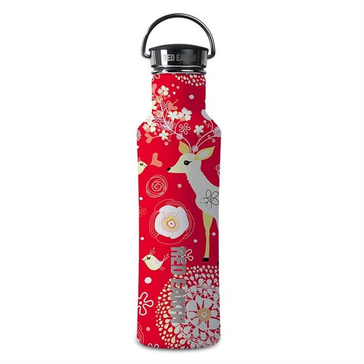 Stainless Steel Water Bottle